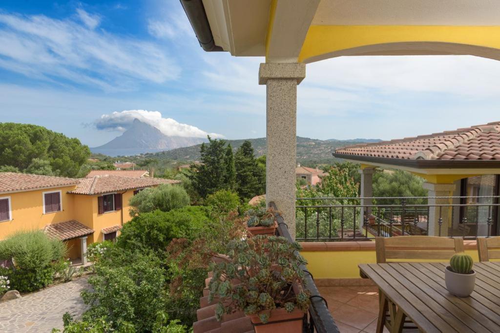 Residence Agrifoglio Monte Petrosu Kültér fotó